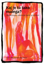 Maša Radi Buh in Metod Zupan (ur.): Kaj je tu tako malega? Metodologije beleženja malih umetnosti