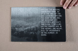 Lifecutter: Siclar