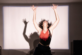 Preobrazim se! STRIP-KONFERENCA / I Transform Myself! STRIP-CONFERENCE 