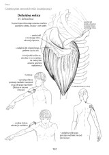 Blandine Calais-Germain: Anatomija gibanja
