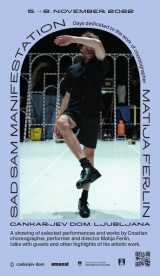Matija Ferlin: Sad Sam Manifestation